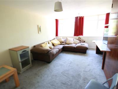 Picture 3